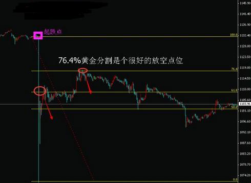 黄金骨讲的是什么(骨黄金的作用与功效)