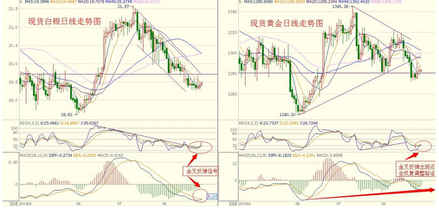 黄金间碧玉竹(黄金间碧玉竹和金镶玉竹)