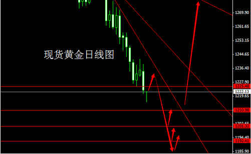 黄金鲳鱼(黄金鲳鱼蒸多长时间)