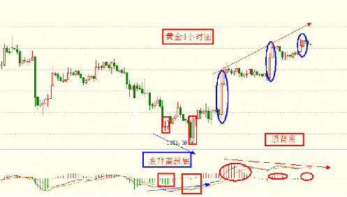 黄金转运珠的寓意(黄金转运珠的寓意与象征)