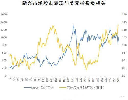 黄金草药(黄金草药图片)