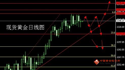 黄金蝙蝠(黄金蝙蝠有毒吗)