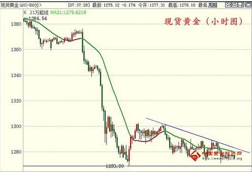 黄金芽茶叶价格(贵州黄金芽茶叶价格)