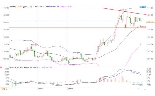 黄金表丽娜多肉怎么养(表丽娜多肉的养殖方法)