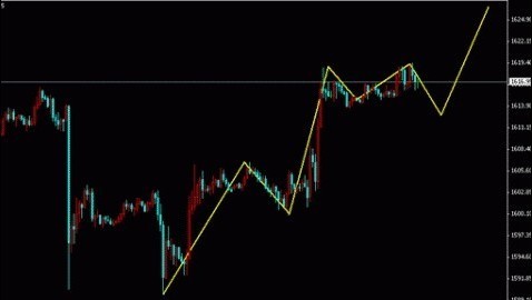 黄金螺能和鱼一起养吗(海螺可以和金鱼一起养吗)