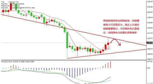 黄金罗刹多强(罗刹神有多强)
