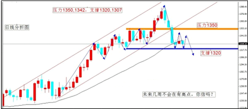 黄金砂糖(黄金砂糖是什么)