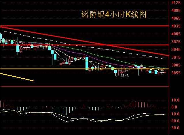 黄金树图片(植物黄金树图片)