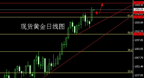 黄金男模大赛(第十五届黄金男模联赛前三名)