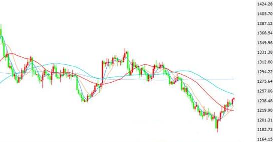 黄金樟手串图片(黄金樟做手串好吗)