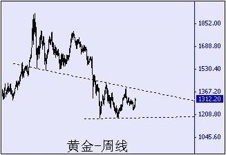 黄金杂货铺(金仔的杂货铺)