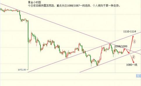 黄金海岸英文(黄金海岸翻译英文)