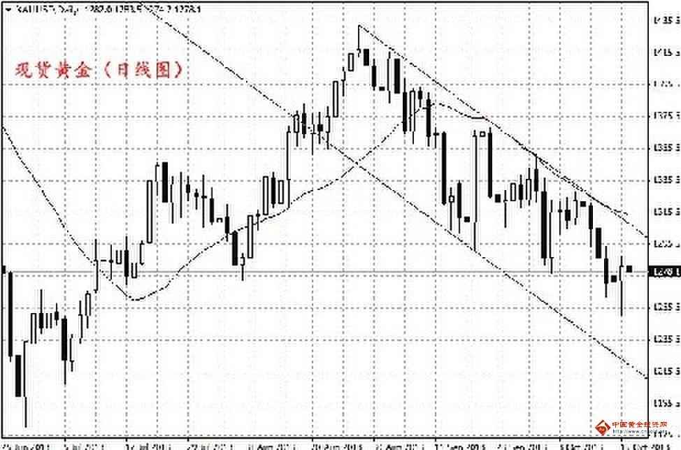 黄金甲药一瓶10粒(黄金甲药一瓶10粒装多少克)