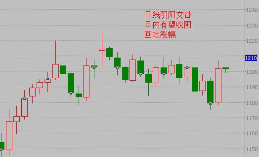 黄金晴大米多少钱一斤(河南黄金晴大米怎么样)