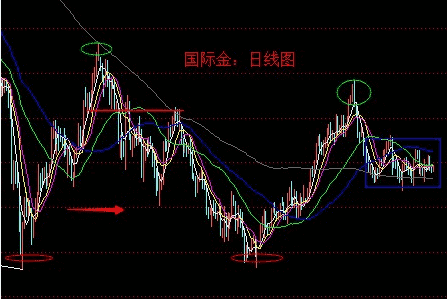 黄金搭档是什么(蒲公英的黄金搭档是什么)