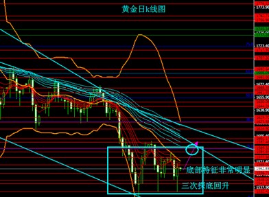 黄金岛手机版大厅(黄金岛手机版大厅攻略)