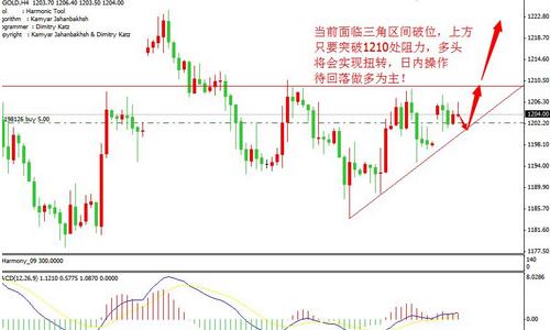 黄金圣斗士头像(十二黄金圣斗士头像)