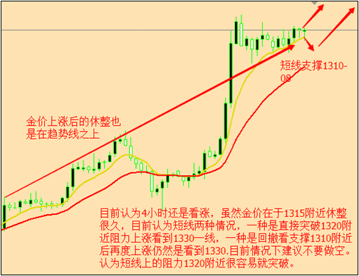 黄金外汇配资(黄金外汇配资平台排名)