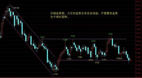 黄金圣斗士蛇夫座(黄金圣斗士蛇夫座为什么要刺杀雅典娜)