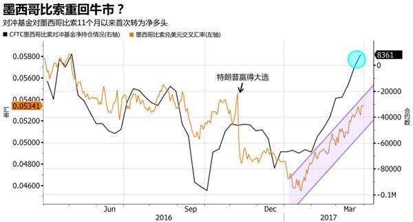 黄金叶天叶怎么样(黄金叶天叶和金叶)