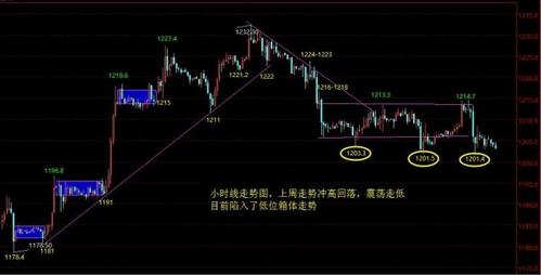 黄金刀客(黄金刀客演员表)