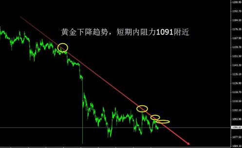 黄金原野在线(黄金原野百度网盘)