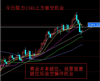 赤瞳黄金七彩(赤瞳黄金七彩鱼能做奶妈吗)