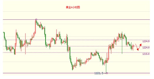 莲瓣兰黄金海岸(莲瓣兰黄金海岸特征)