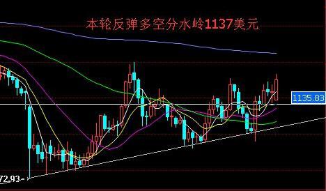 蚂蚁会员怎么升级黄金(蚂蚁会员怎么升级黄金会员等级)