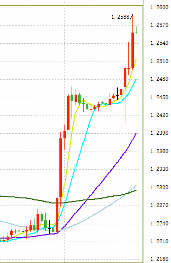 航海王之黄金城动漫(航海王之黄金城动漫观看)