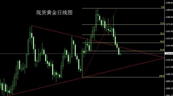 盐和避难所黄金教(盐和避难所黄金教好处)