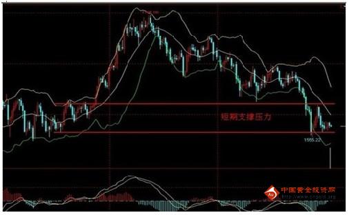 沪黄金主连(沪金主力合约是什么意思)