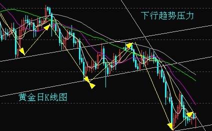 无轩之黄金手炮(无轩之黄金手炮在哪买)