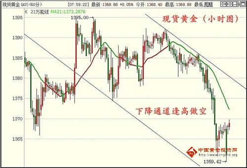 抱着黄金飞翔(抱着黄金飞翔小说在线阅读)