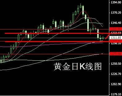 山东黄金股票走势图(山东黄金股票行情走势)