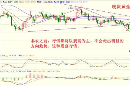 宝具招荡的黄金剧场(宝具招荡的黄金剧场出自)