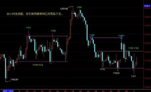 山东黄金股票停牌公告(山东黄金股票最新消息)