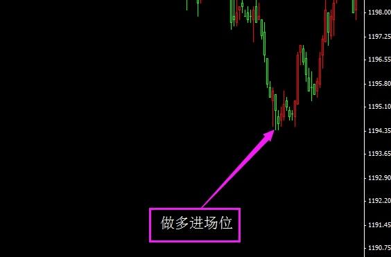 大黄金鹦鹉(大黄金鹦鹉可以养吗)