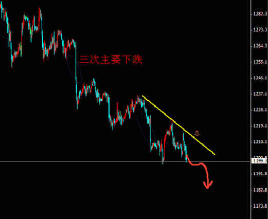 大黄金叶(大黄金叶小黄金叶)