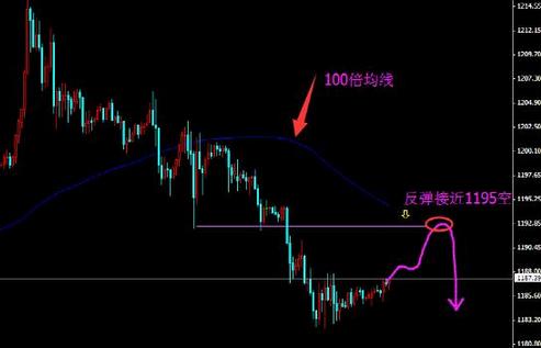 优酷黄金会员可以几个人用(优酷黄金会员电脑能用不)