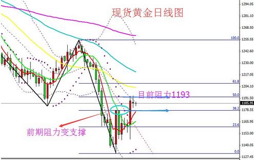 中金黄金和五矿发展合并(中金黄金钼矿)