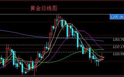 14k黄金(14k黄金多少钱一克)