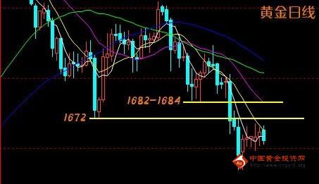 2016黄金叶小黄金(黄金叶小目标)