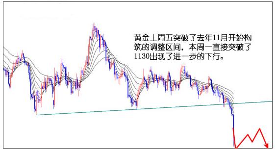 黄金蜜柚苗(黄金蜜柚产地是哪里)