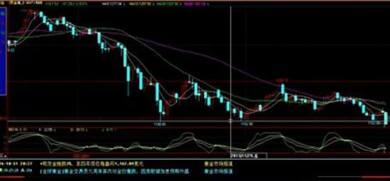 黄金葵图片(黄金向日葵)