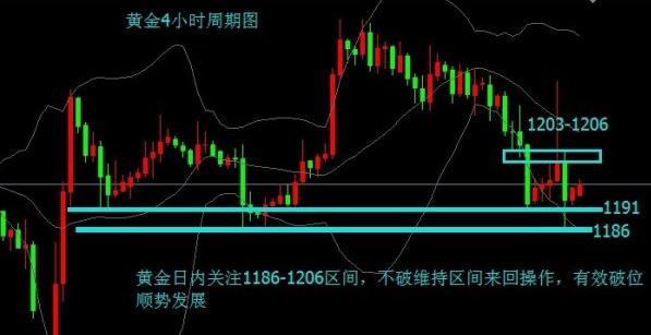 黄金大胡子可当清道夫(黄金胡子能当清道夫养吗)