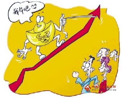 黄金万年草扦插视频(黄金万年草扦插后可以晒太阳吗)