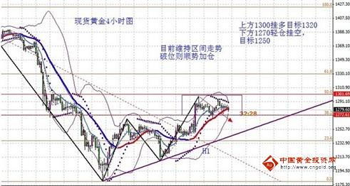 上海黄金海岸信鸽实业有限公司(上海黄金海岸信鸽实业有限公司怎么样)